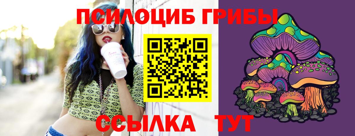 Димитровград  Галлюциногенные грибы прущие грибы  Вход с VPN 