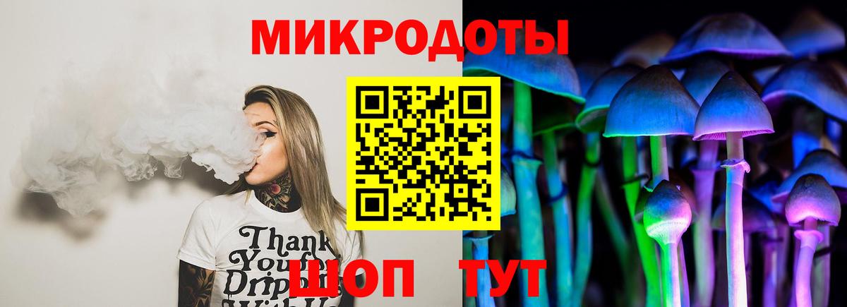 Псилоцибиновые грибы Psilocybe Димитровград
